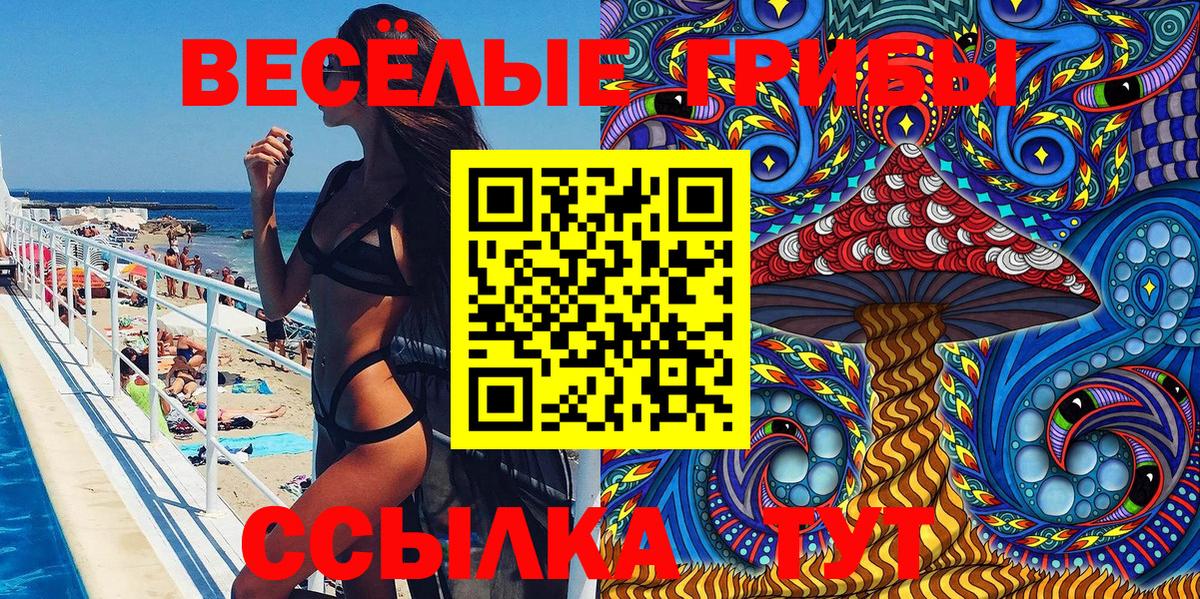 Псилоцибиновые грибы Psilocybe Волжский