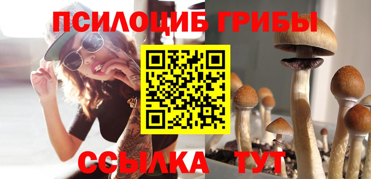 Галлюциногенные грибы Magic Shrooms  Галлюциногенные грибы прущие грибы  Вход с VPN  купить  цена  Волжский 